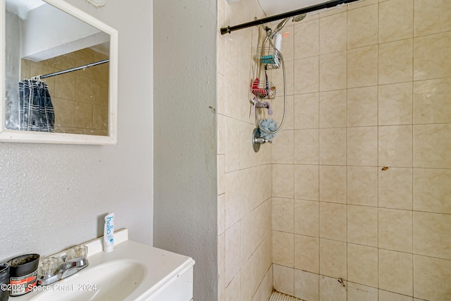 bathroom featuring sink and a shower with shower curtain