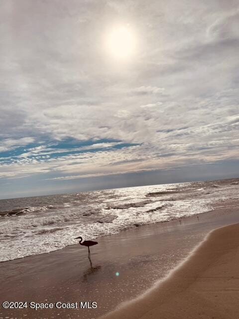 view of water feature featuring a beach view