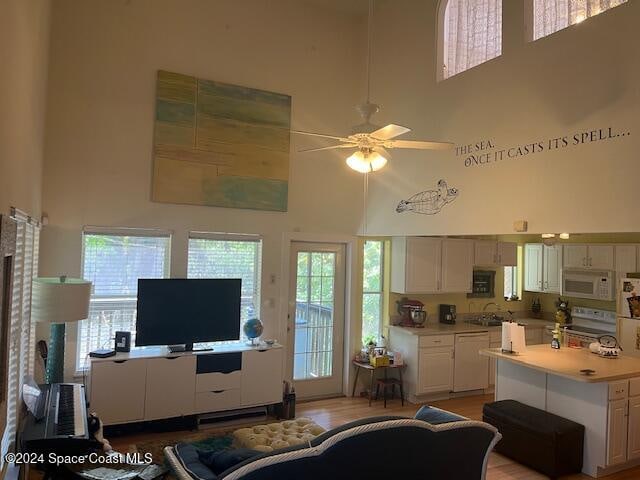 living room featuring a healthy amount of sunlight, light hardwood / wood-style floors, and a towering ceiling