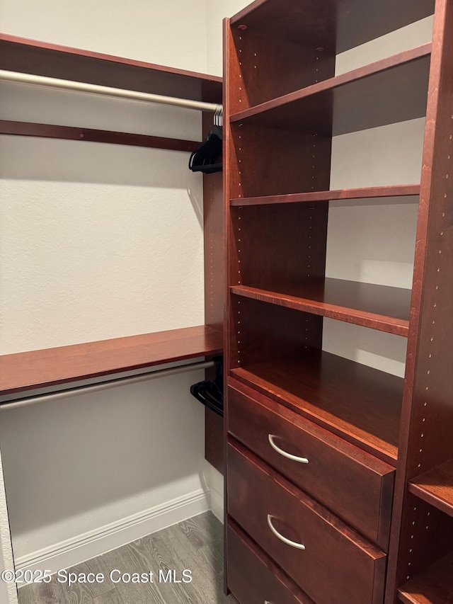 spacious closet with dark hardwood / wood-style flooring