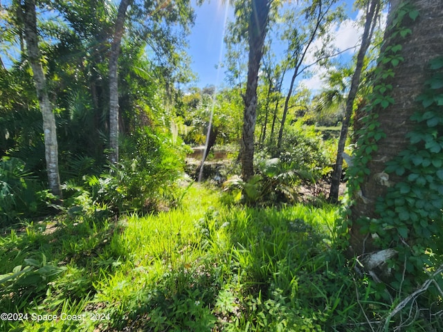 637 Espanola Way, Melbourne, FL 32901 - photo 13