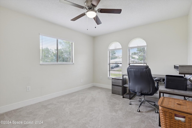 office space with a textured ceiling, a wealth of natural light, and light colored carpet