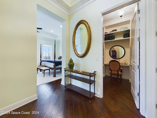 corridor with crown molding and dark hardwood / wood-style flooring