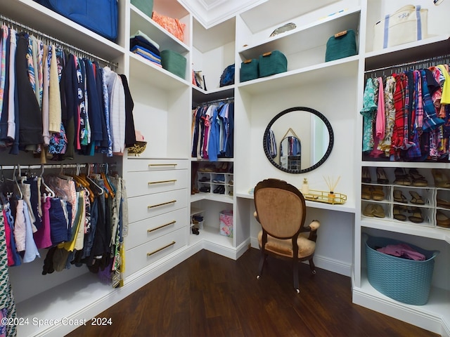 spacious closet featuring wood-type flooring