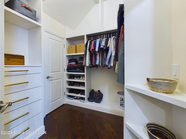 walk in closet with lofted ceiling and dark wood-type flooring