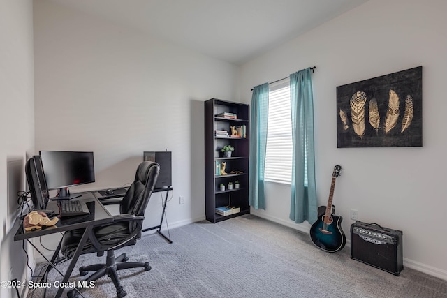 office featuring light colored carpet