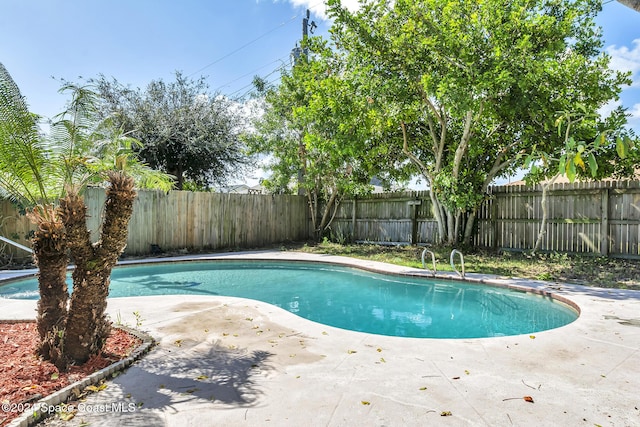 view of swimming pool with a fenced backyard, a fenced in pool, and a patio