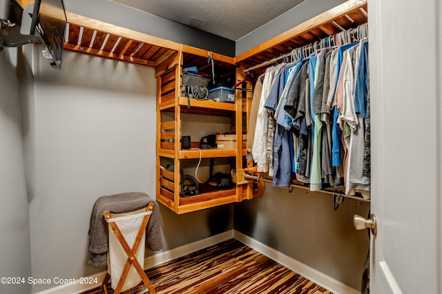 walk in closet with wood-type flooring