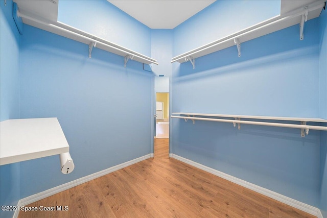 spacious closet featuring hardwood / wood-style floors