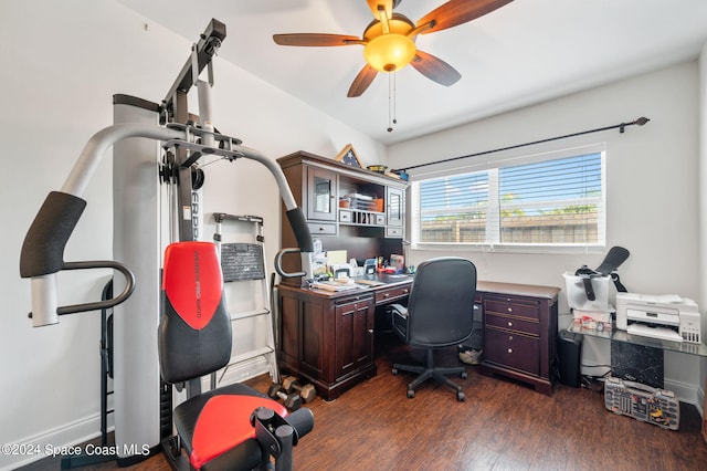 office featuring ceiling fan and dark hardwood / wood-style flooring