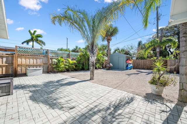 view of patio / terrace featuring a shed