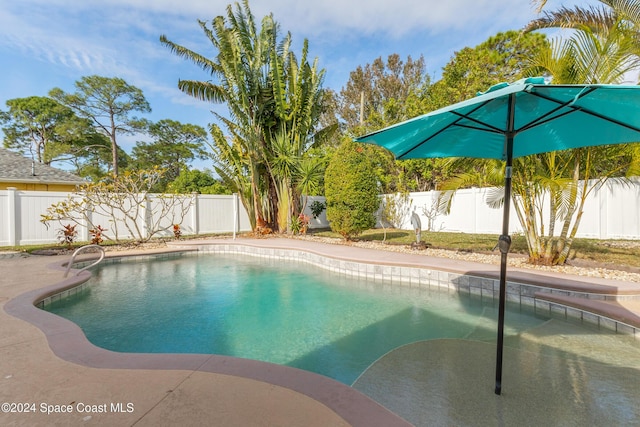 view of swimming pool