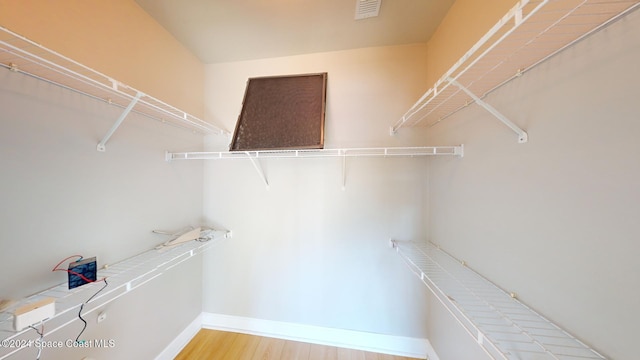 walk in closet featuring hardwood / wood-style flooring