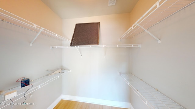 6461 Borasco Dr Unit 2805, Melbourne, FL 32940 - walk in closet featuring wood finished floors