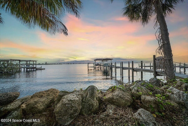 dock area with a water view