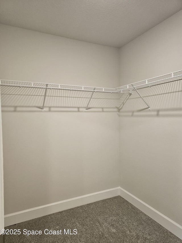 713 Degroodt Rd SW, Palm Bay, FL 32908 - spacious closet with dark carpet