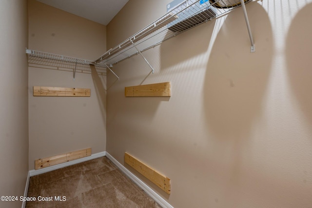 spacious closet with carpet flooring