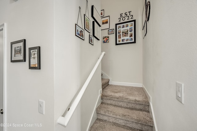 stairway featuring carpet