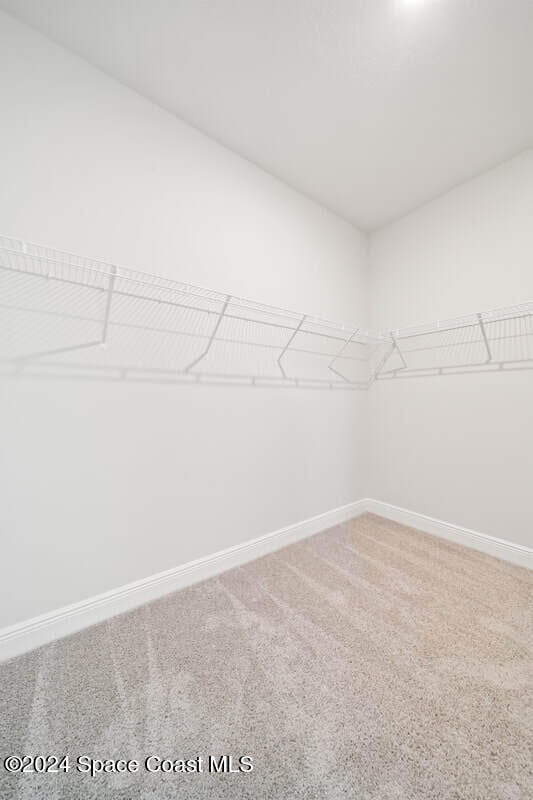 spacious closet featuring carpet floors