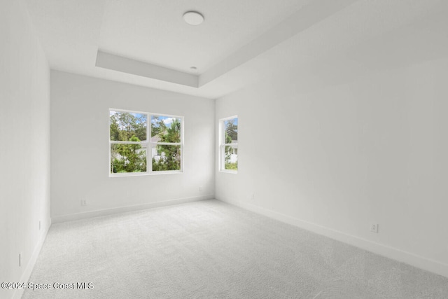 empty room with light carpet and a tray ceiling