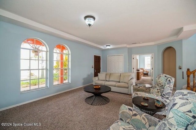 carpeted living room with plenty of natural light