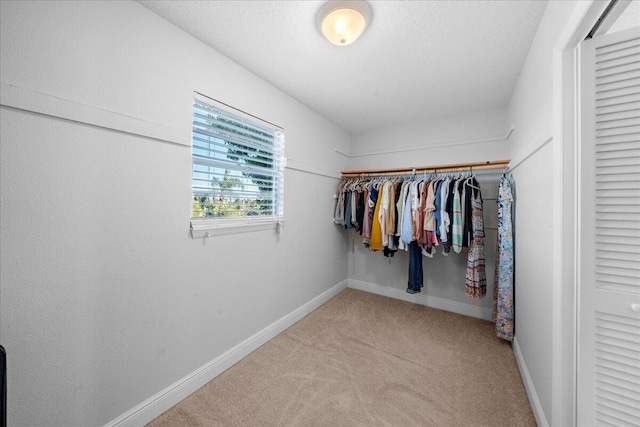 walk in closet with carpet flooring