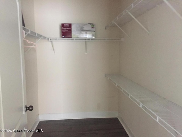 6470 Borasco Dr Unit 1108, Melbourne, FL 32940 - view of spacious closet