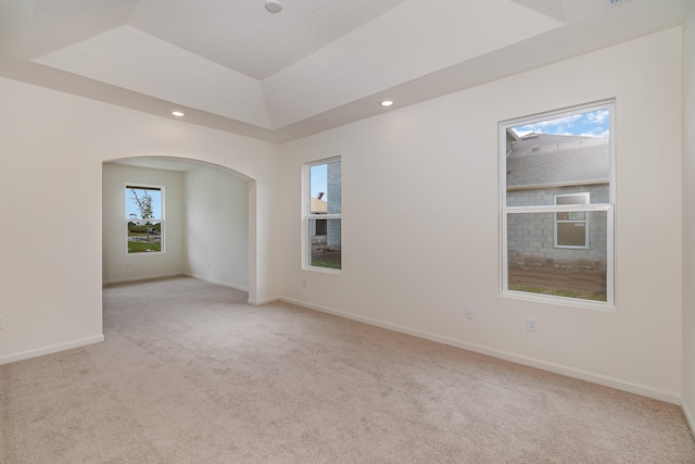 unfurnished room with a raised ceiling and light carpet