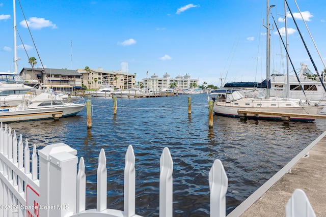 dock area with a water view