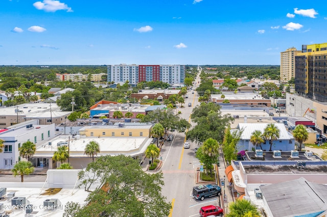 bird's eye view