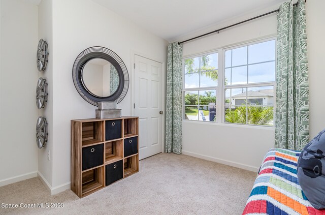 sitting room featuring light colored carpet