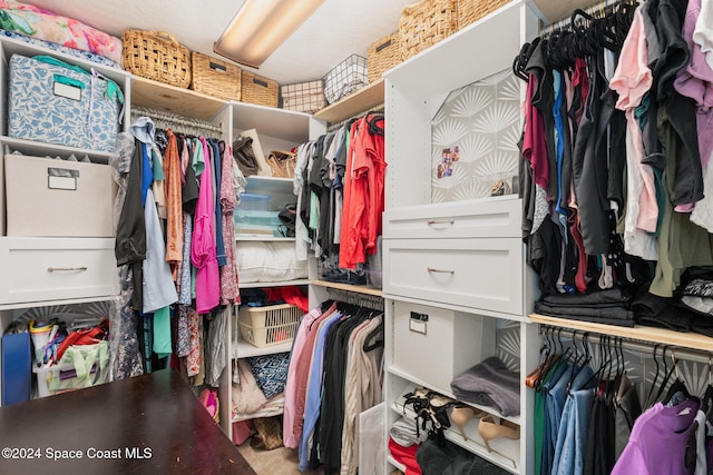 view of spacious closet