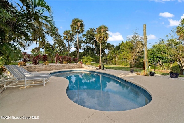 view of swimming pool with a patio area