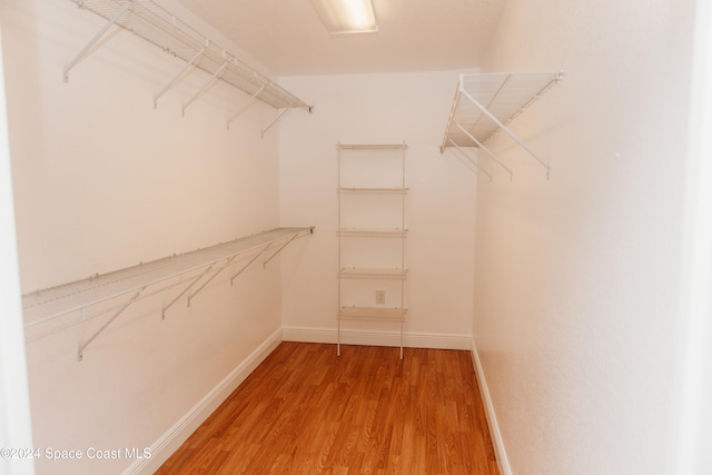 spacious closet featuring hardwood / wood-style flooring