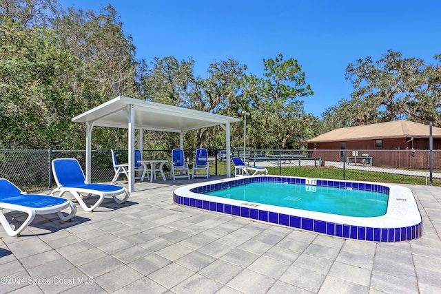 view of pool with a patio area