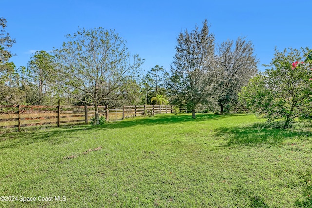 view of yard with a rural view