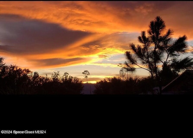 view of nature at dusk