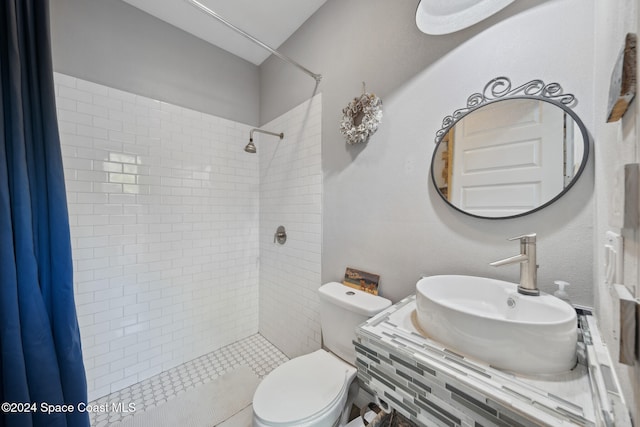 bathroom featuring toilet, sink, and a shower with shower curtain