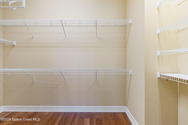 walk in closet with hardwood / wood-style flooring