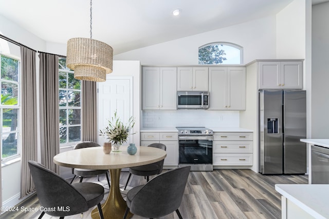 kitchen with vaulted ceiling, appliances with stainless steel finishes, and plenty of natural light