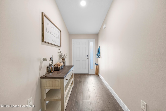 entryway featuring dark wood-type flooring