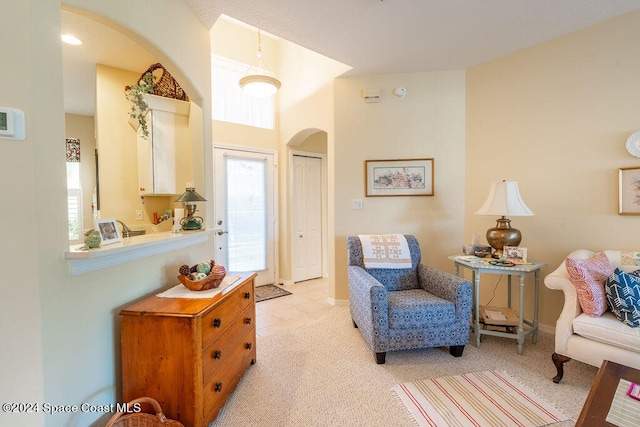 living area with light colored carpet