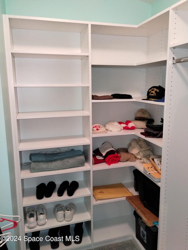 view of walk in closet