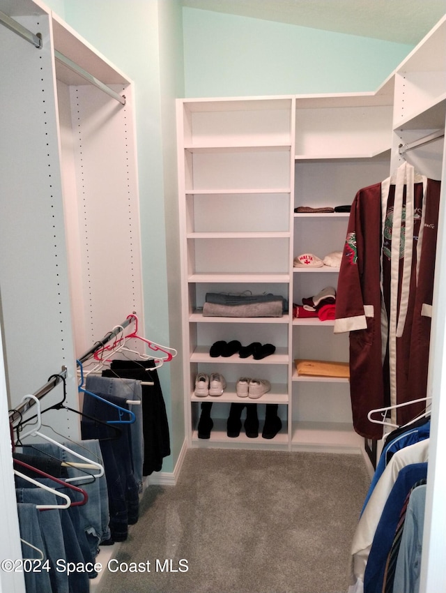 walk in closet featuring carpet and vaulted ceiling