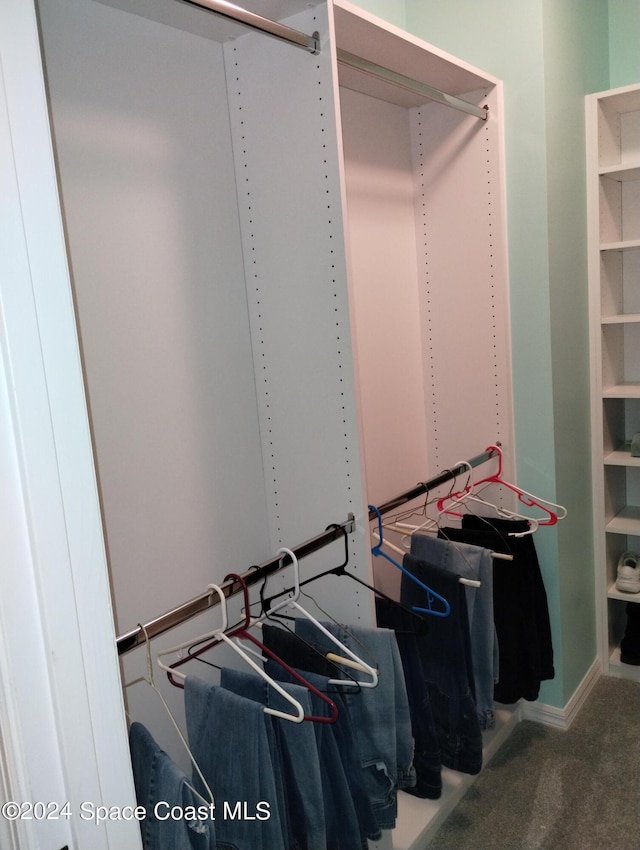 walk in closet featuring carpet flooring