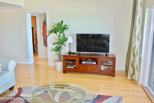 living room featuring ornamental molding and light wood-type flooring