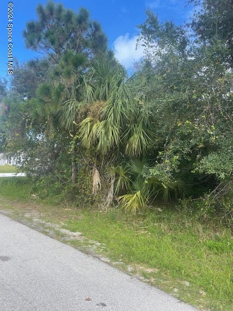 1781 Hamilton Ave SW, Palm Bay FL, 32908 land for sale