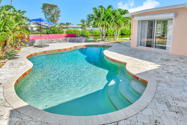 view of swimming pool with a patio