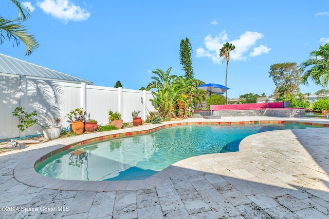 view of pool with a patio