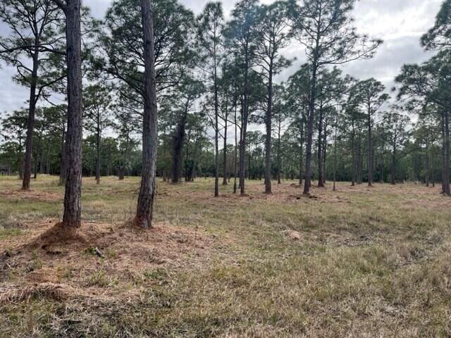 0000 Govan Ave, Malabar FL, 32950 land for sale